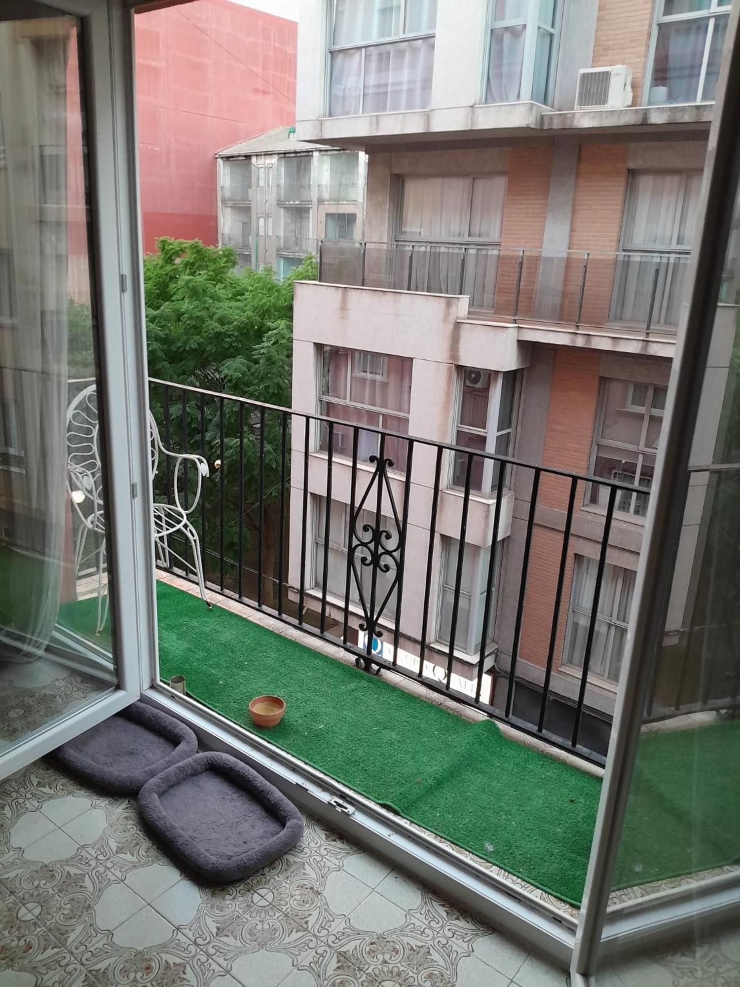 Gemuetliches Zimmer "Gold" Fuer 2 Personen Und Katzenliebhaber Valencia Ngoại thất bức ảnh