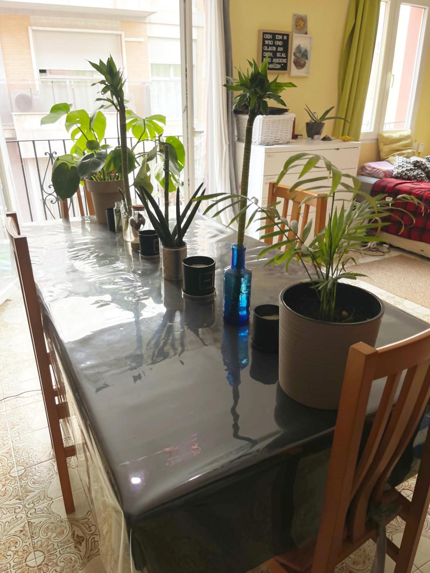 Gemuetliches Zimmer "Gold" Fuer 2 Personen Und Katzenliebhaber Valencia Ngoại thất bức ảnh